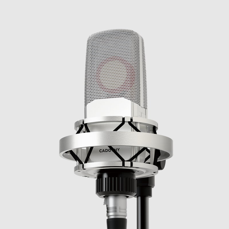 Custom High Quality PRO Large  - Condenser Microphone Studio Large Diaphragm review and price