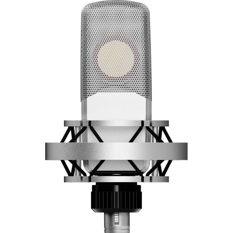 Custom High Quality PRO Large  - Condenser Microphone Studio Large Diaphragm review and price