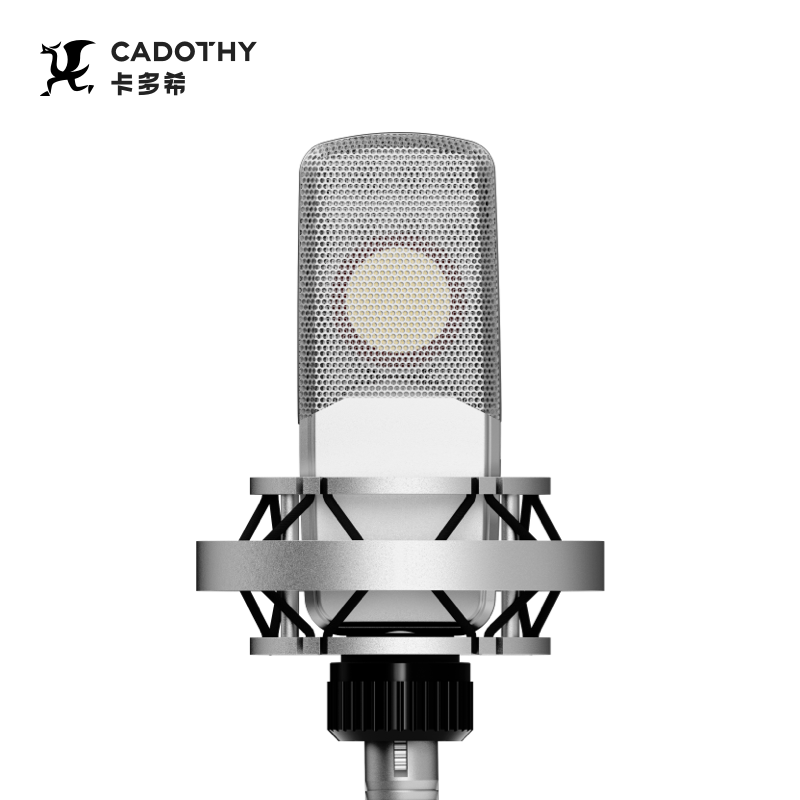 Custom High Quality PRO Large  - Condenser Microphone Studio Large Diaphragm review and price