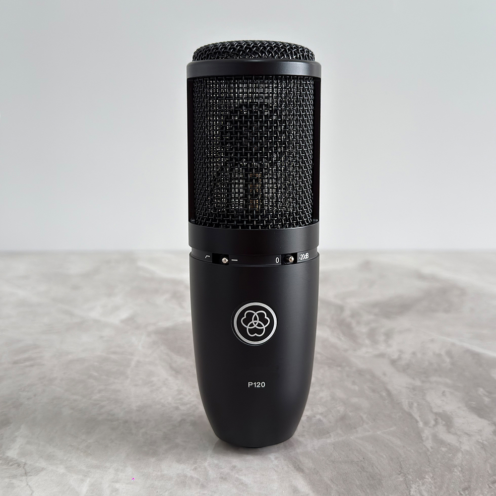 P120 Studio Microphone Large D - Condenser Microphone Studio Large Diaphragm review and price