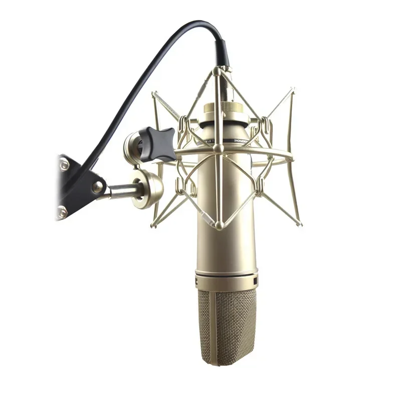 2026 High End 48V recording st - Condenser Microphone Studio Large Diaphragm review and price